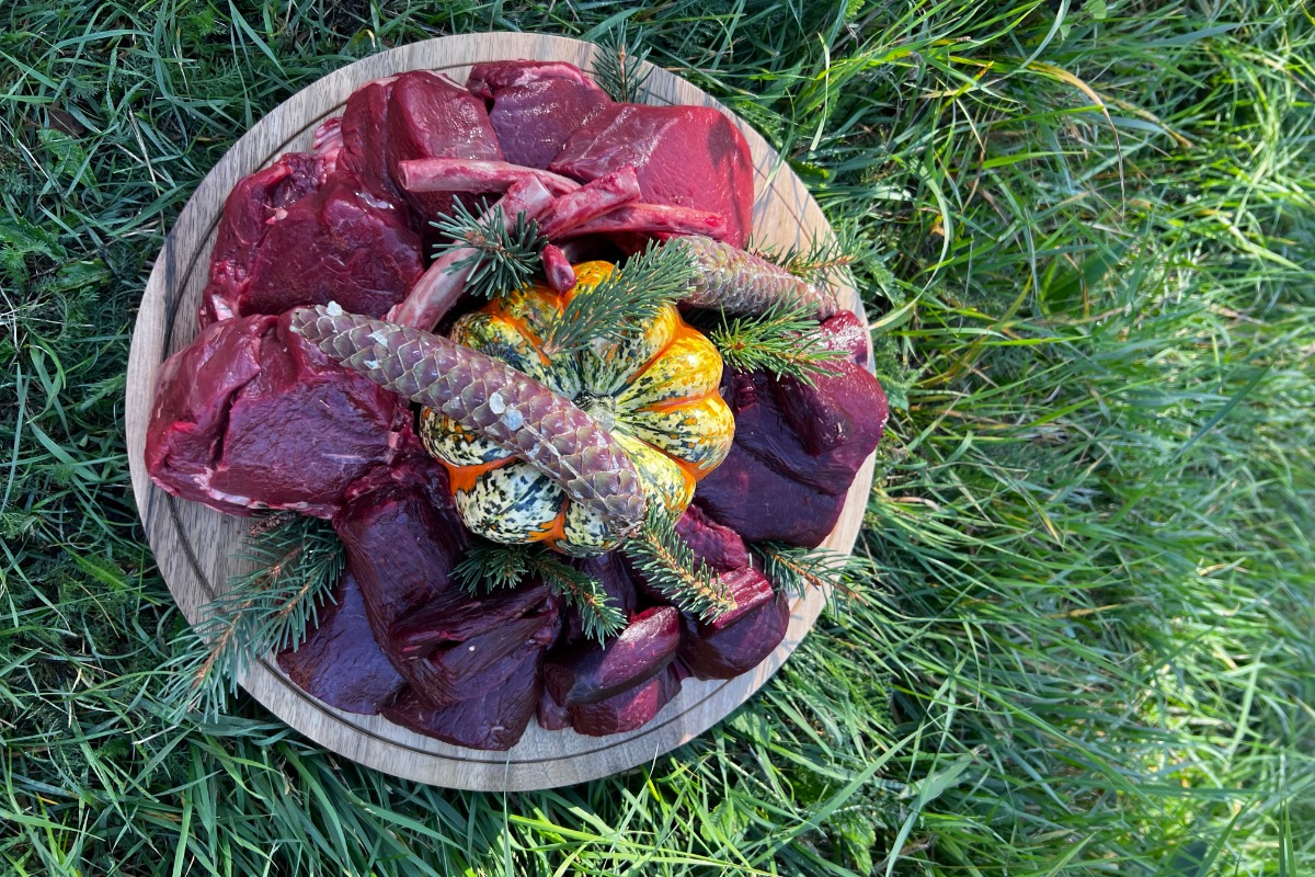 C'est reparti pour la gastronomie de chasse ! C'est reparti pour la gastronomie de chasse !